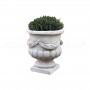 Vaso classico Cardone esempio